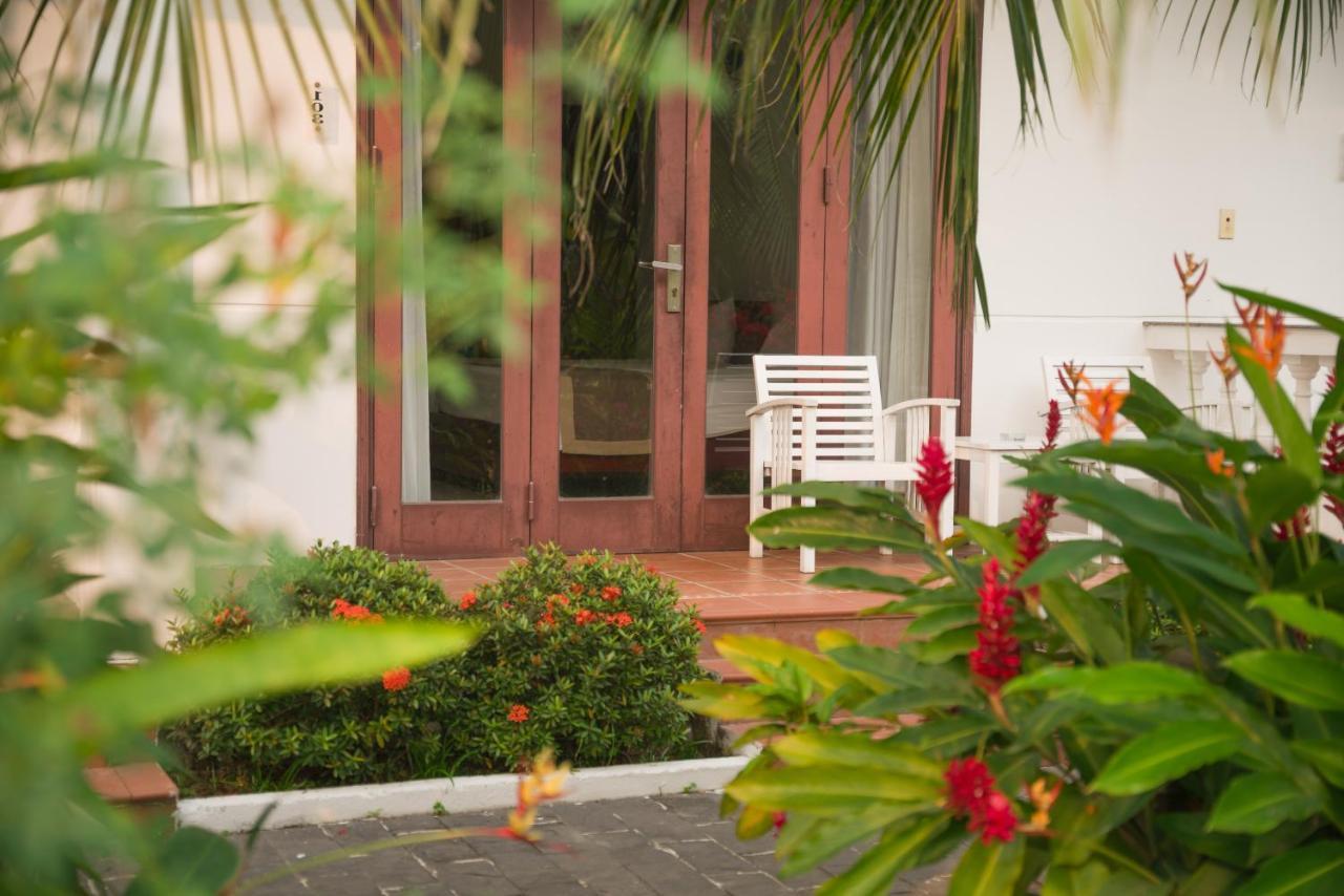 Hoi An Luna Villa מראה חיצוני תמונה