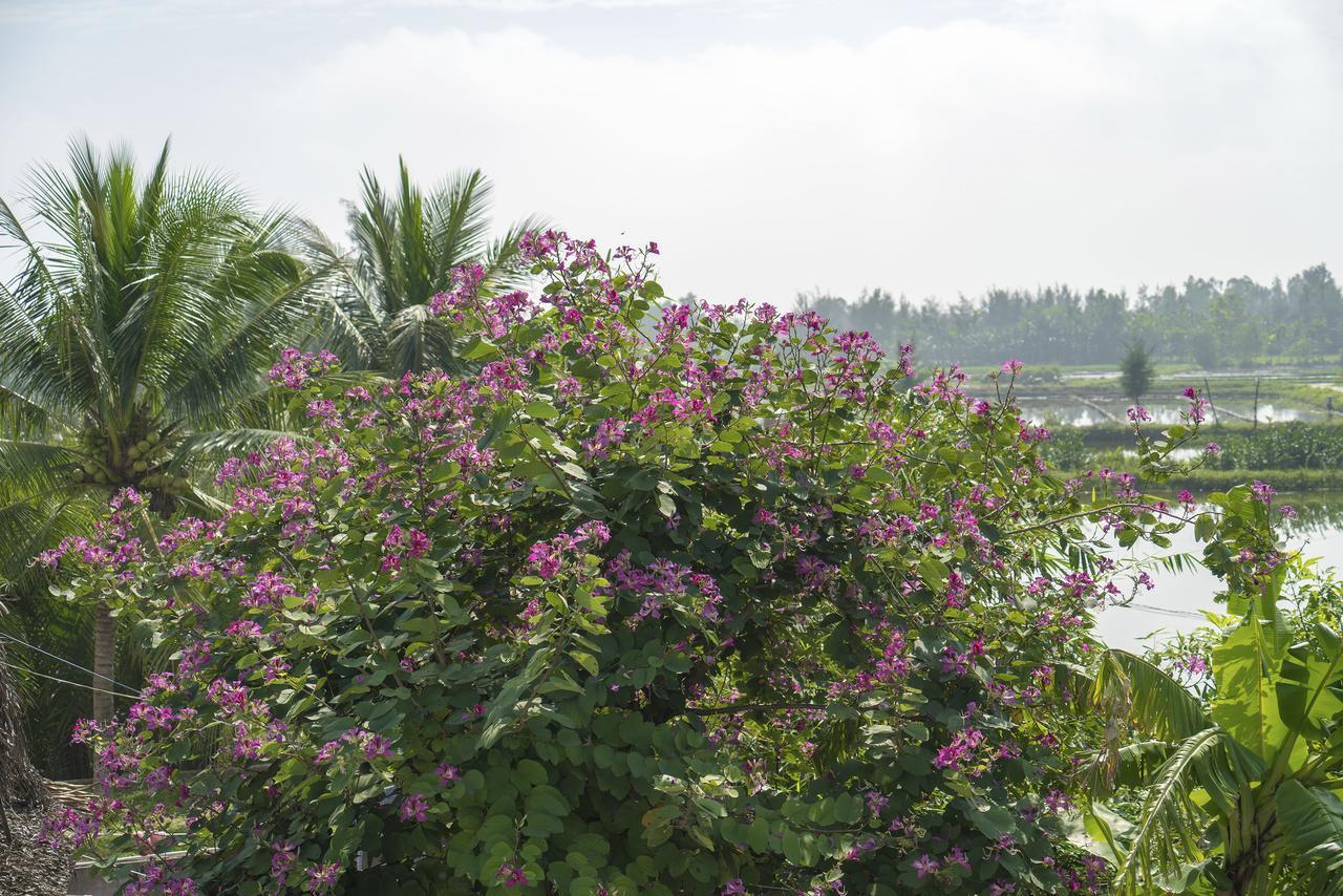 Hoi An Luna Villa מראה חיצוני תמונה