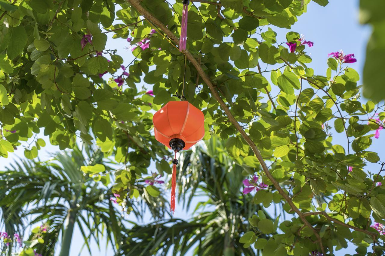 Hoi An Luna Villa מראה חיצוני תמונה
